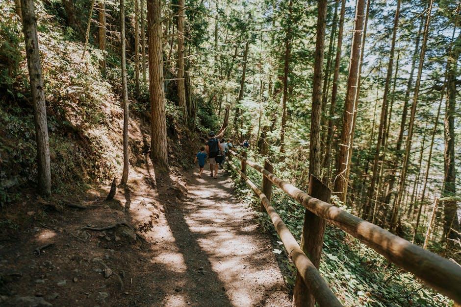 Creating a Supportive Environment for Family Fitness