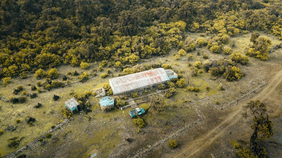 Hidden Costs and Liabilities of Property Investments