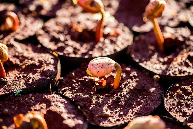 Understanding the Importance of Higher Education in Todays World