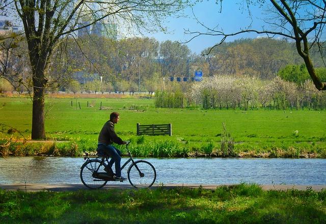 The Role of Physical Activity in Reducing Family Stress