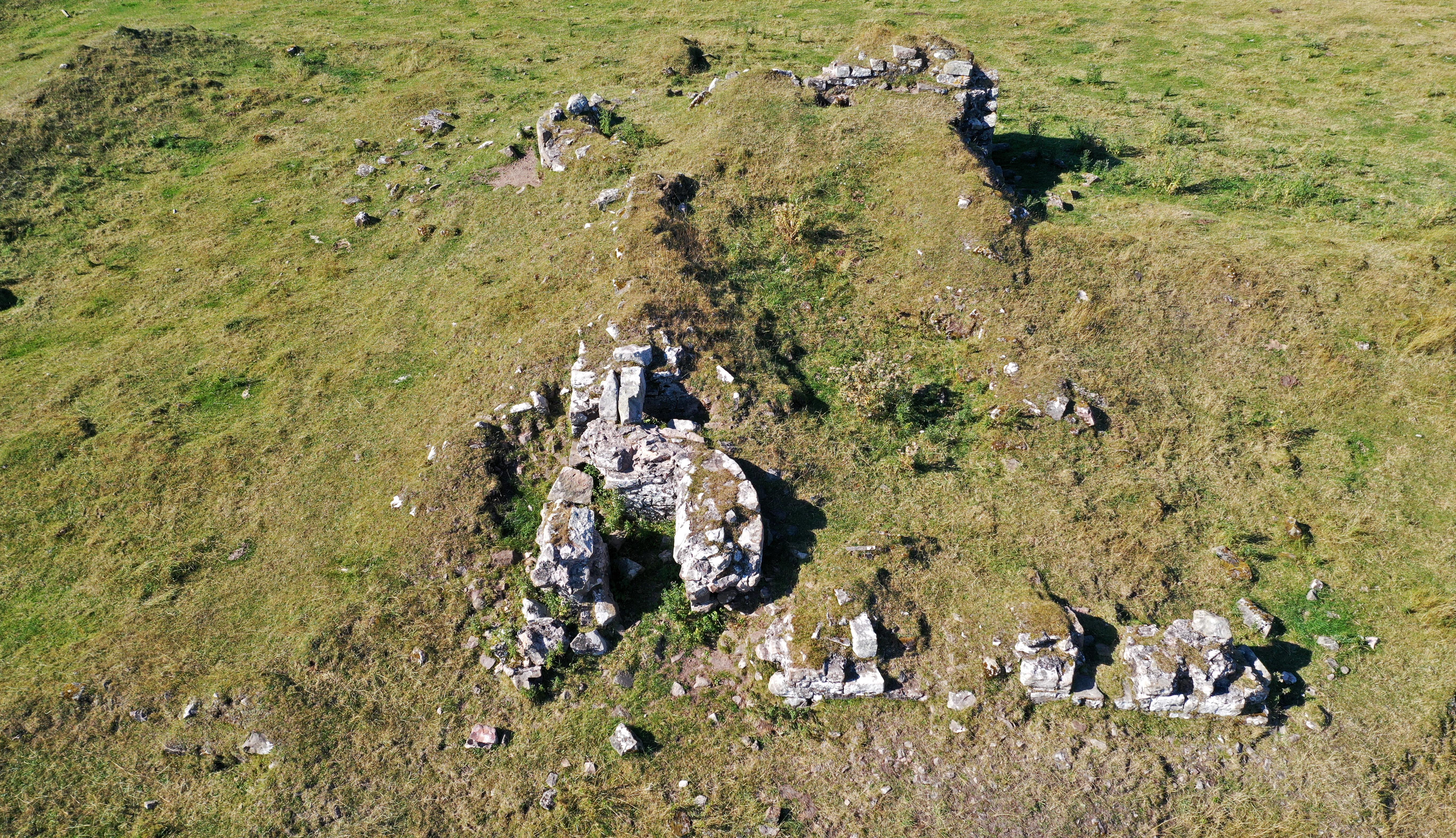 Strategies to Counteract Complacency in Heir Successors