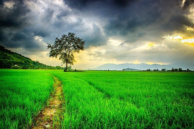 How to Achieve Financial Independence as a Family