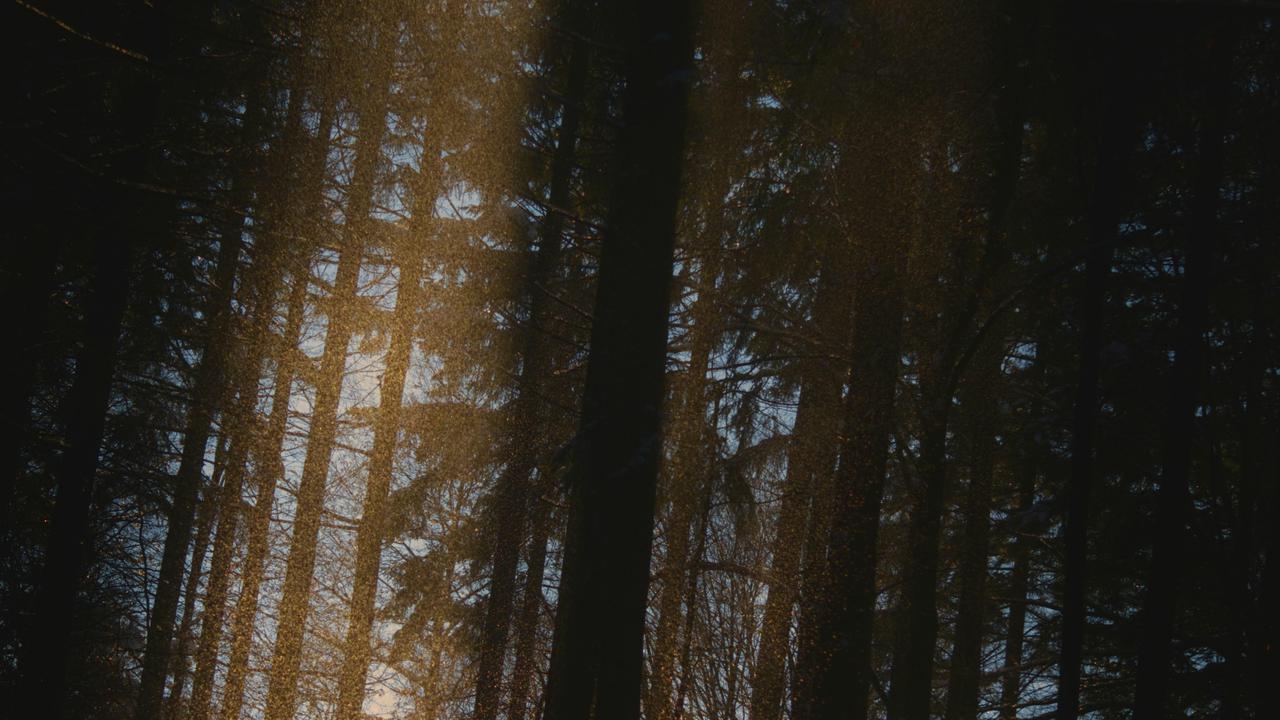 Strategies for Integrating Family History into Estate Plans