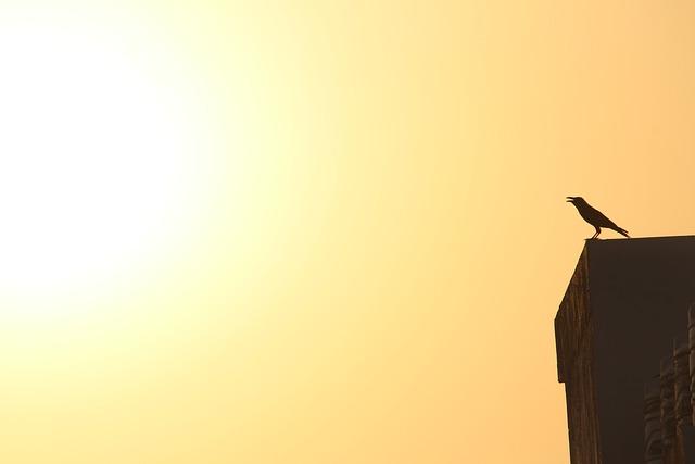 Are You Over Insuring Your Family’s Assets