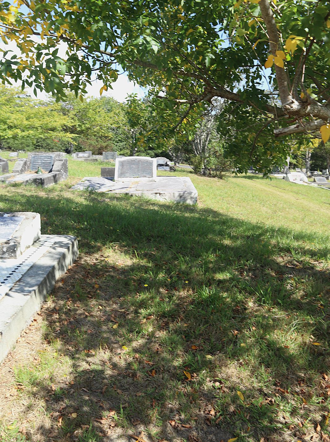 The Importance of Updating Your Will for a Secure Legacy