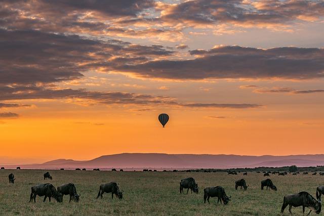 Tailored Safari Adventures with Educational Programs for Young Explorers