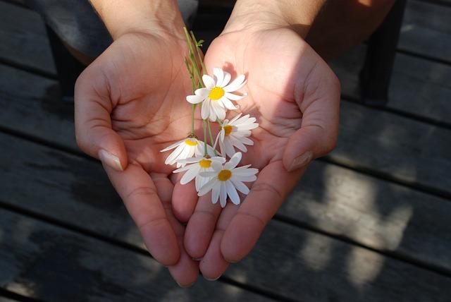 The Benefits of Charitable Giving in Estate Planning