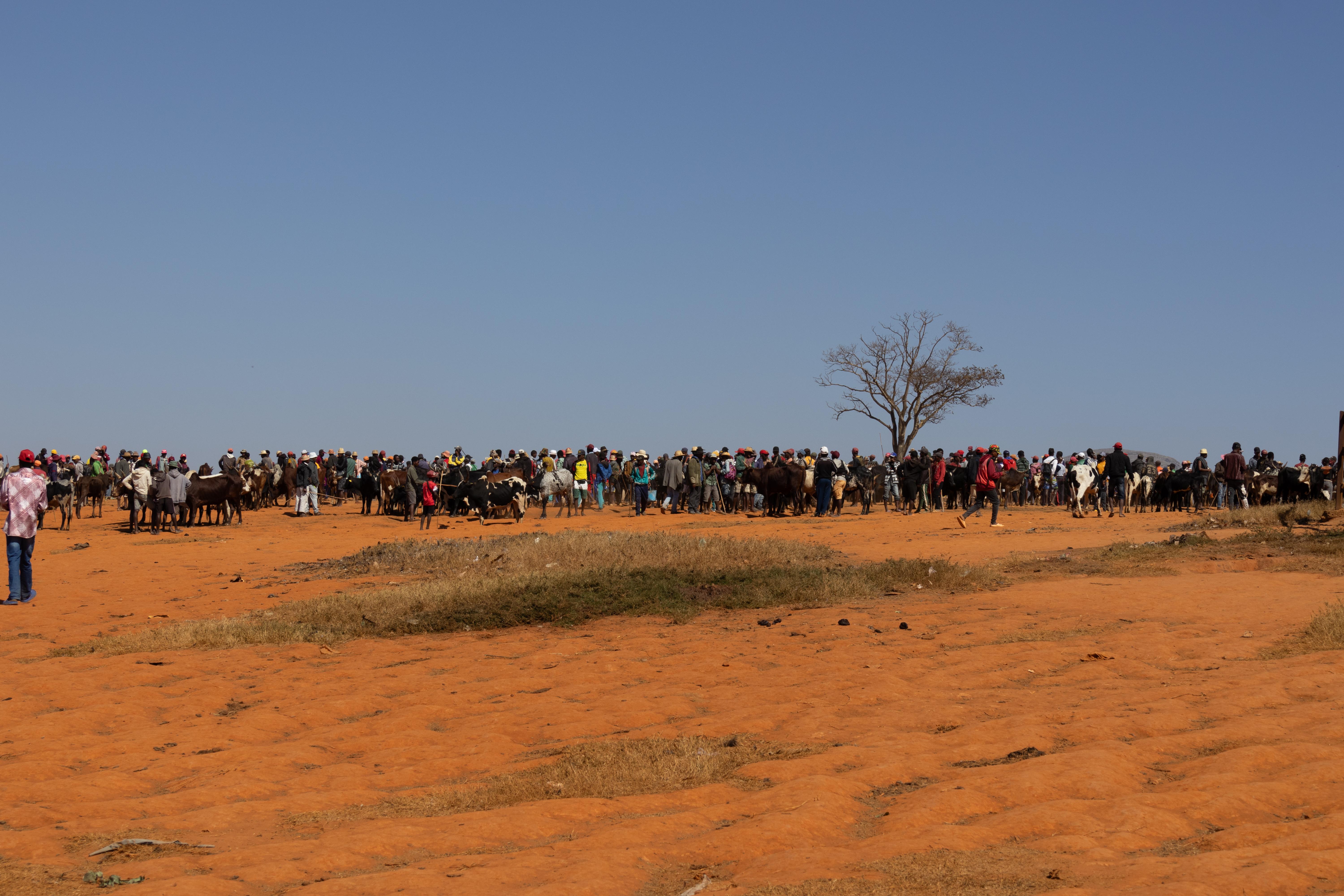 Implementing Family ‍Rituals and Traditions ​to Strengthen ⁣Bonds