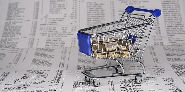 Strategic Approaches to Balance Debt and Wealth Growth