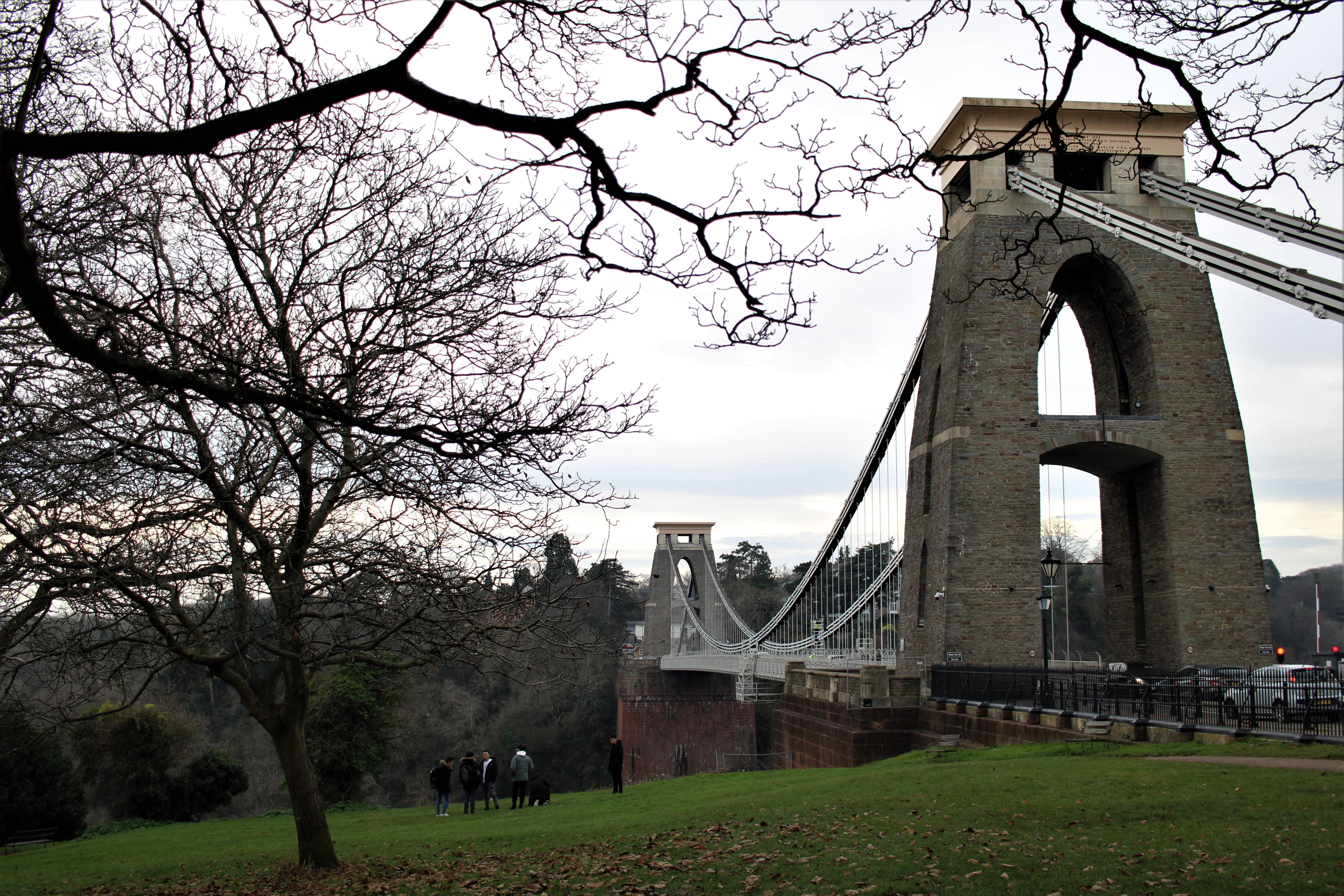 Understanding Tax Implications in Charitable Contributions