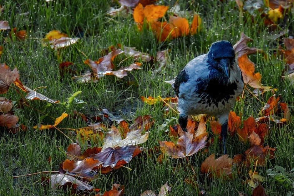 Smart ​Thermostats Transforming Home Climate Control