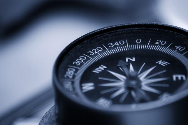 Encouraging Innovation ​and Growth through External Leadership Integration