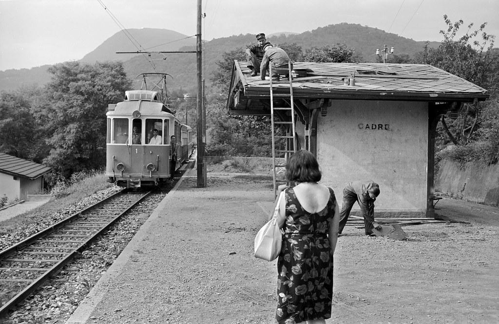 Integrating Fitness into Family Routines with Professional Guidance