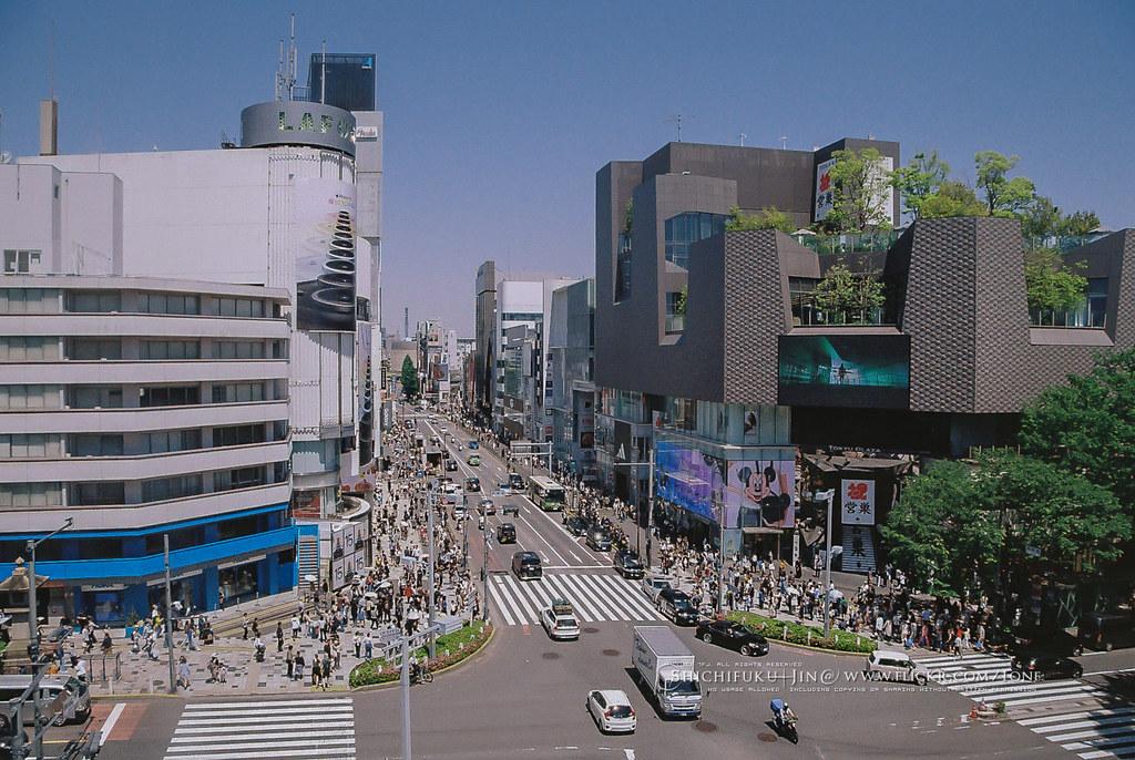 Understanding the Impact of Family Dynamics on Teen Body Image