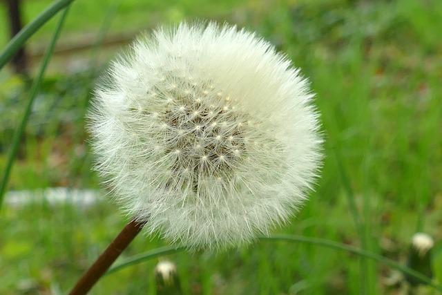 Maximizing Tax Deductions through Qualified Charitable Distributions