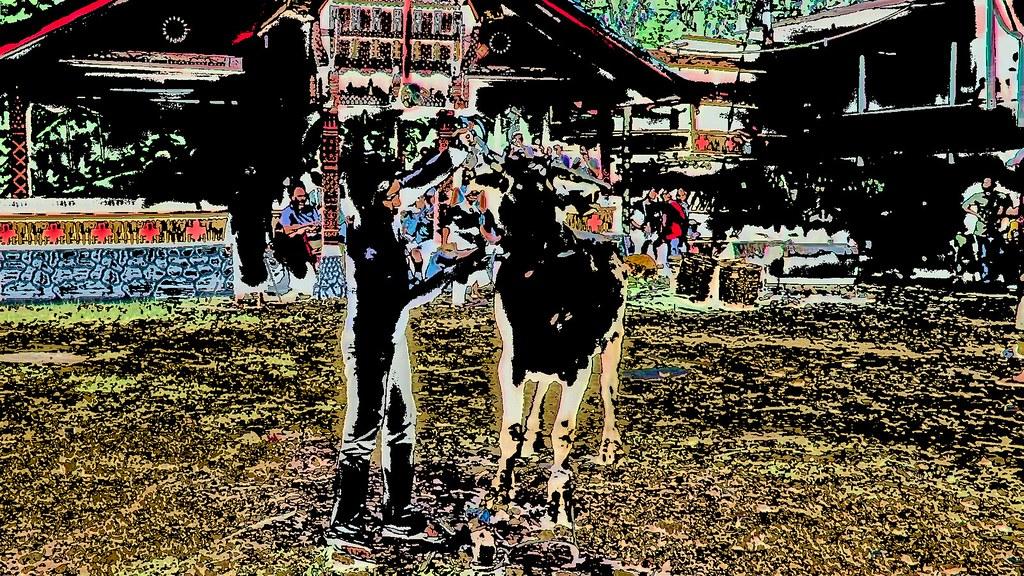 Navigating Gift Taxes and Exemptions for Family Assets