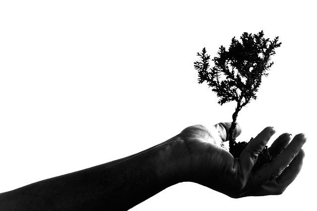 Cognitive Growth Through Cultural Immersion