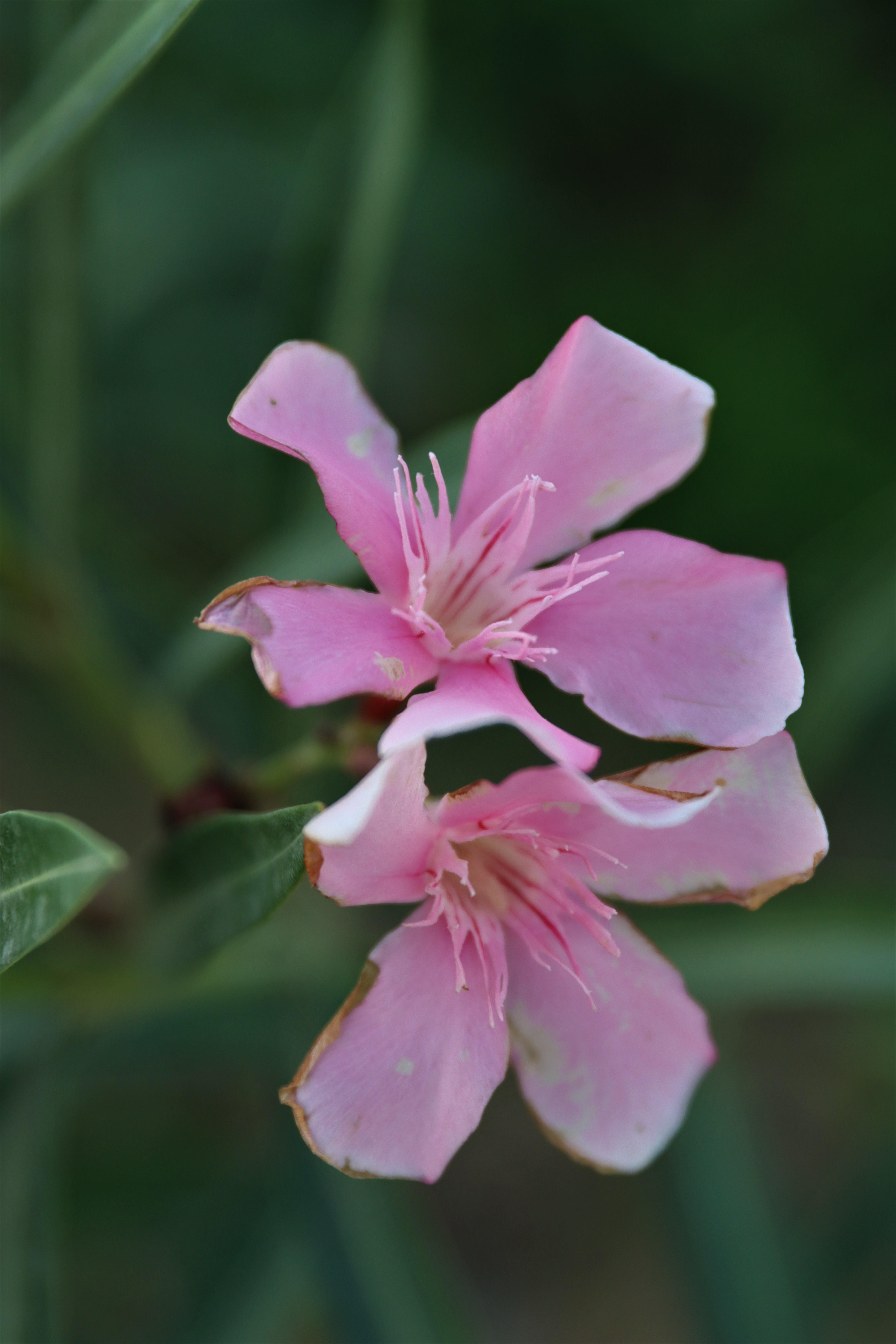 Evaluating the‌ Physical Risks of Structured Exercise Programs for Youngsters