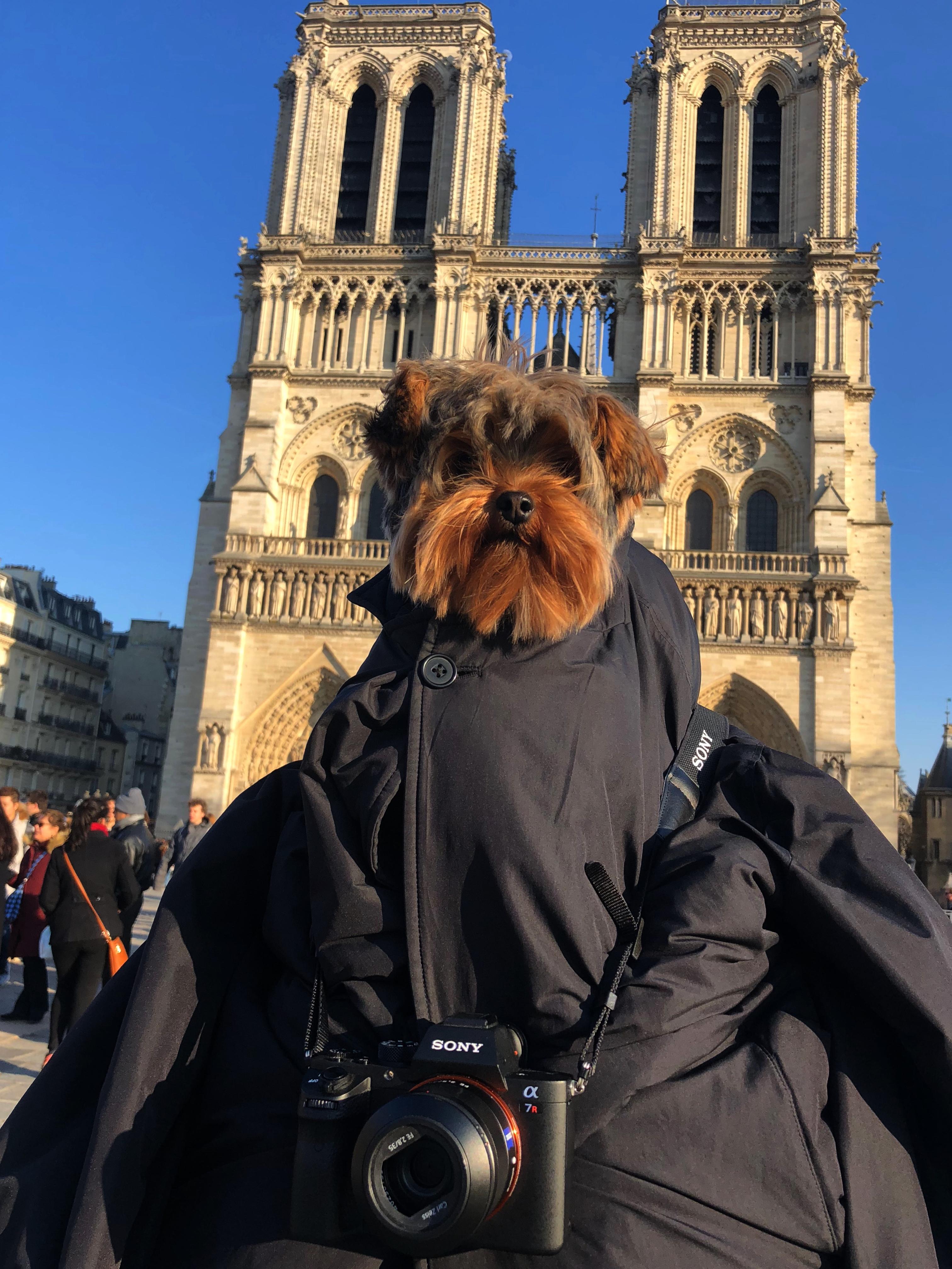 Addressing Common Sleep Disruptions and Solutions