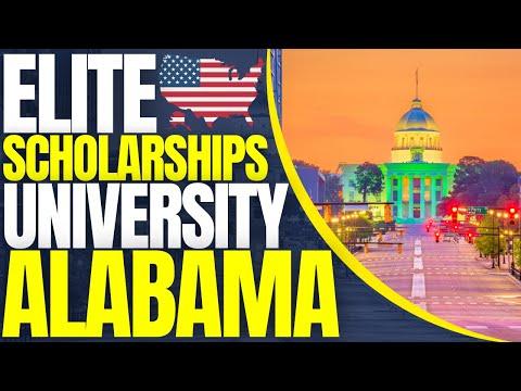 Top Institutions Offering Elite Scholarships Analyzing Opportunities for Future Leaders