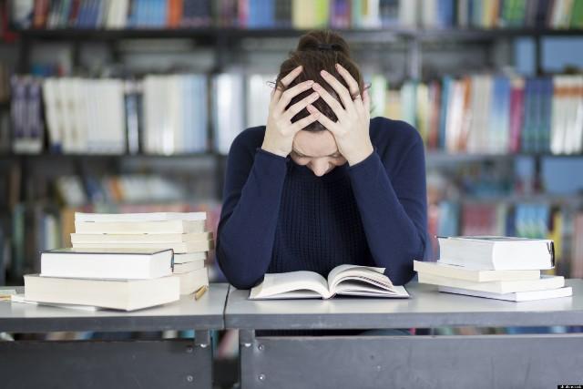 Long-term Consequences of Stress-Induced Academic Pressure