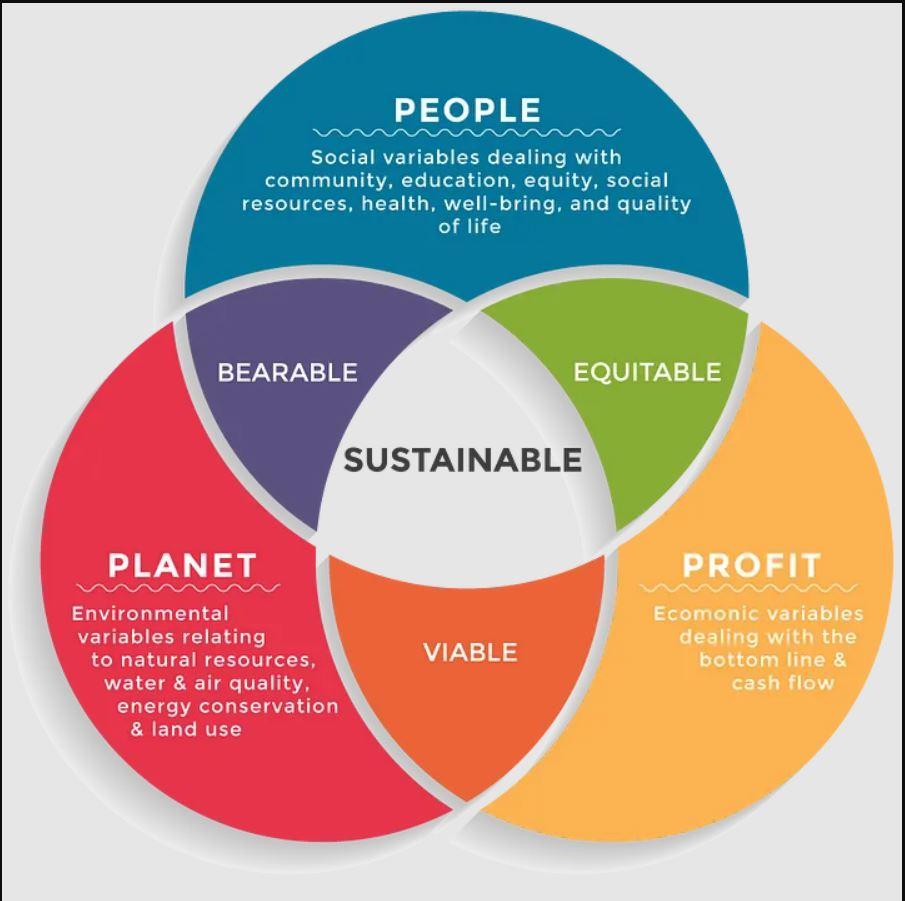 Crafting a Sustainable Plan for Educational Expenses