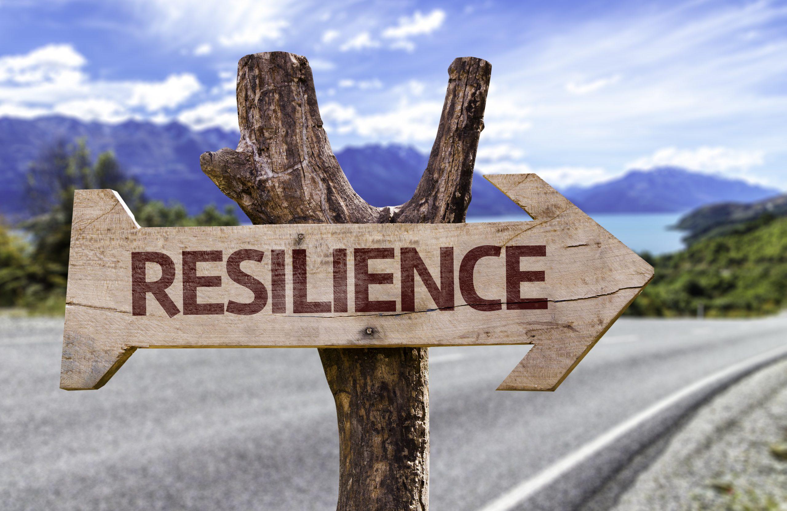 Developing Resilience Through Positive Reinforcement